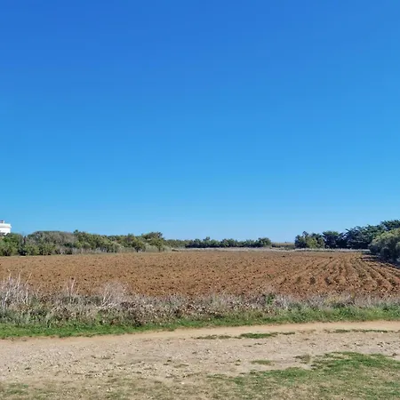 Cozy In 생-피에르-돌레롱